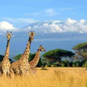 Travel Africa Network choisit la position HOTBIRD d’Eutelsat pour lancer la première chaîne HD africaine dédiée aux voyages