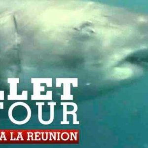 France 24 : «Billet retour» à La Réunion le 14 juin