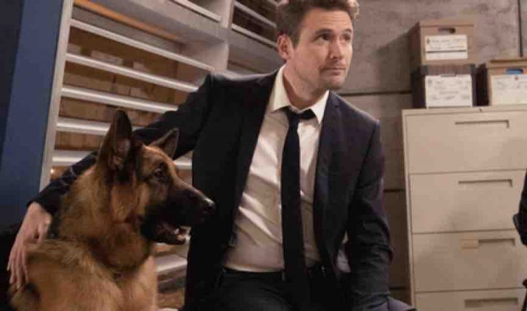 France 3 : «Hudson & Rex», épisodes inédits dès le 21 juin à 21h05