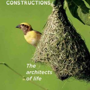 GEDEON Programmes/ «Constructions animales» : «Les architectes de Maisons» en cours de tournage en France
