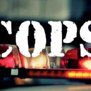 Paramount Network: en pleine vague de protestation contre les violences policières, la série américaine controversée de télé-réalité «Cops» supprimée