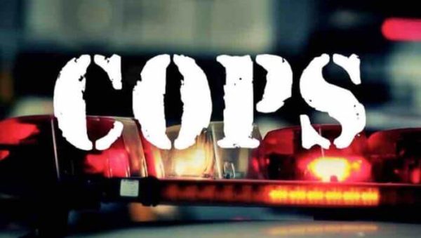 Paramount Network: en pleine vague de protestation contre les violences policières, la série américaine controversée de télé-réalité «Cops» supprimée