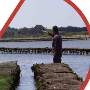 Public Sénat : la série courte «La nature vue du ciel» les mercredis à 13h00 dès juillet