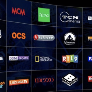 TV Breizh et Paris Première, chaînes thématiques les plus regardées au 1S