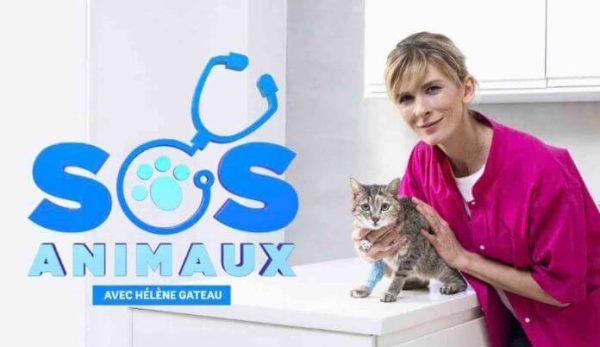 6ter lance son nouveau magazine «SOS Animaux» présenté par Hélène Gateau dès le 15 septembre à 21h05