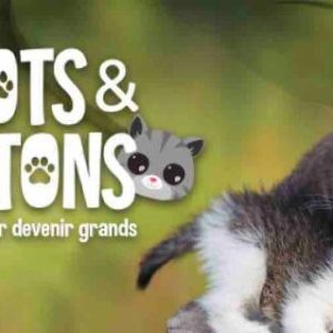 C8 : «Chiots & Chatons, 3 mois pour devenir grands» dès le 20 septembre
