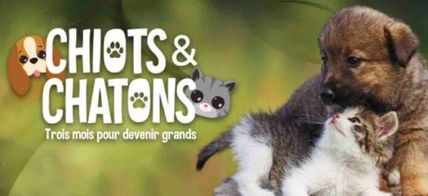 C8 : «Chiots & Chatons, 3 mois pour devenir grands» dès le 20 septembre