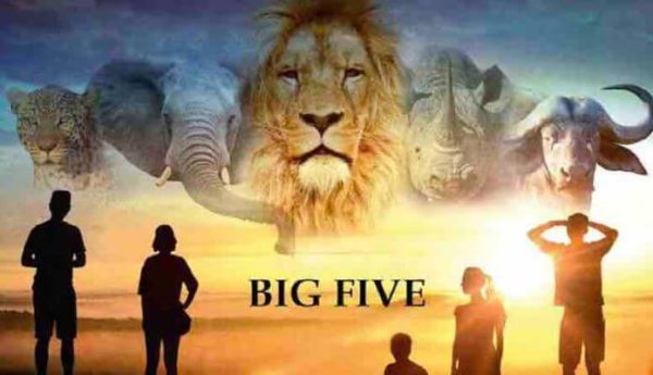 France Télévisions : la série internationale «Big Five» prochainement à l’antenne de France 3