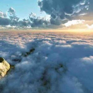 France tv distribution a présenté le documentaire «La Terre, ce corps vivant» pour France 5