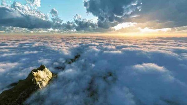 France tv distribution a présenté le documentaire «La Terre, ce corps vivant» pour France 5