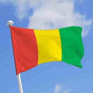 Guinée : les défenseurs des libertés sur internet s’apprêtent à devoir batailler pendant la présidentielle