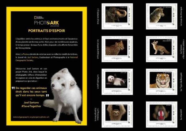La Poste et National Geographic lancent le collector «Fragiles !»