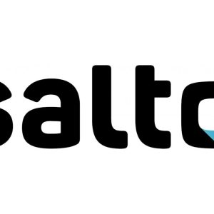 Le démarrage de Salto, plateforme de vidéo en ligne créée par France Télévisions, TF1 et M6, désormais imminent