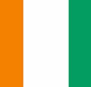 RFI en Côte d’Ivoire le samedi 31 octobre pour l’élection présidentielle