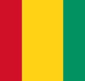 RFI : l’élection présidentielle en Guinée à l’honneur le dimanche 18 octobre