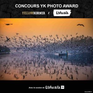 Groupe TF1 : Johan Gaspar, lauréat du concours photo Ushuaïa & YellowKorner