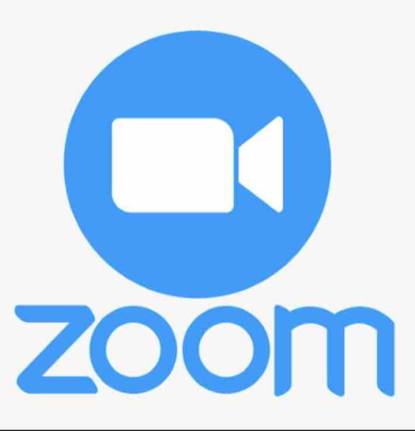 Des chèvres britanniques pour égayer des réunions ou appels vidéos Zoom un peu ternes
