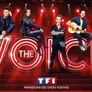 TF1 : un candidat de «The Voice» écarté après la révélation de tweets racistes
