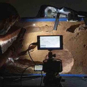 DOCLAND Yard/ Biglo Production : les tournages continuent pour la série «Constructions animales»