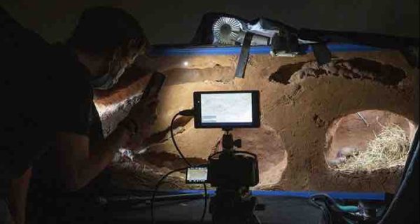 DOCLAND Yard/ Biglo Production : les tournages continuent pour la série «Constructions animales»