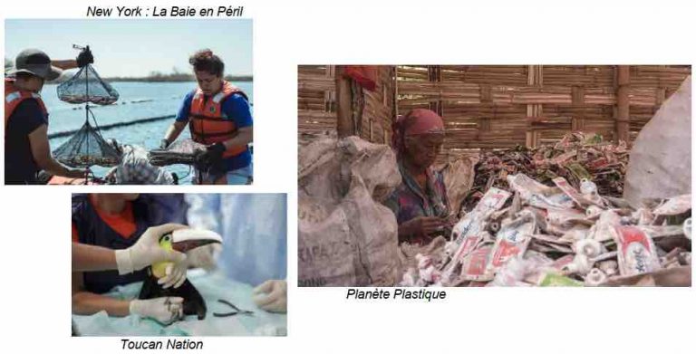 Discovery Science célèbre la journée de la Terre le 22 avril