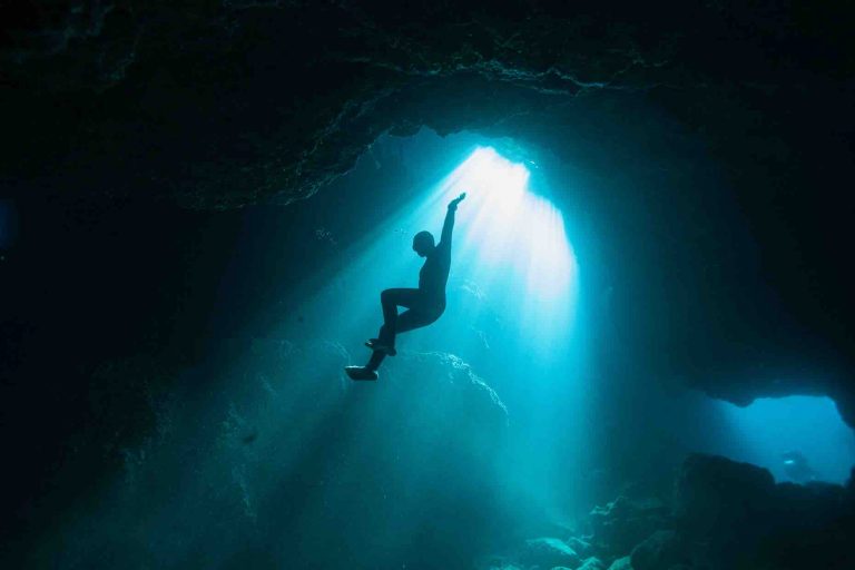 Federation et Boréales créent un label commun dédié aux séries premium nature et environnement