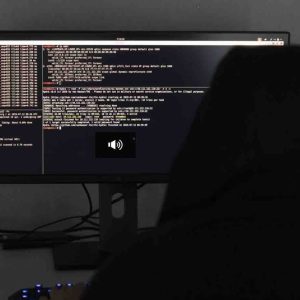 Un grand jury américain a mis en accusation le hacker suisse Tillie Kottmann