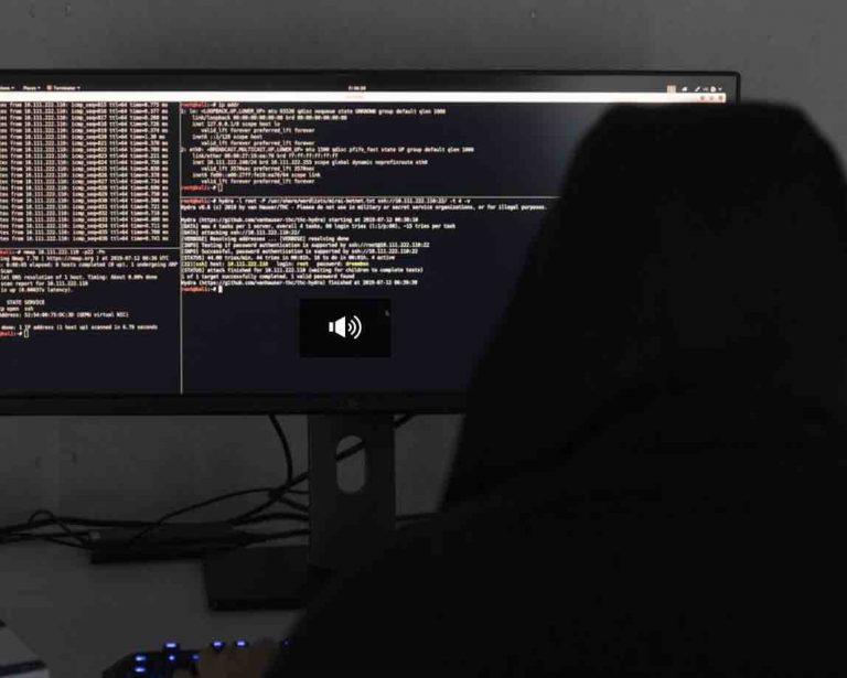 Un grand jury américain a mis en accusation le hacker suisse Tillie Kottmann