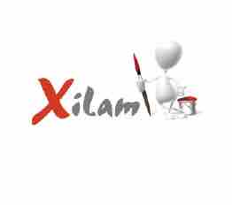 Xilam Animation annonce ses résultats 2020