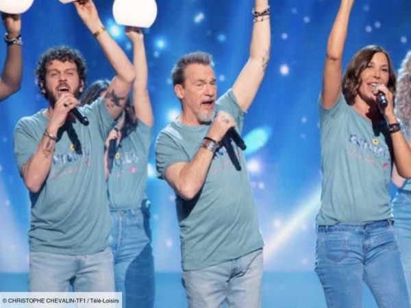 TF1 : 8,1 millions de fans devant «Les Enfoirés à côté de vous»