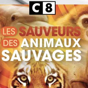 C8 : «Les sauveurs des animaux sauvages» mardi 4 mai à 21h15