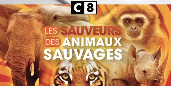 C8 : «Les sauveurs des animaux sauvages» mardi 4 mai à 21h15