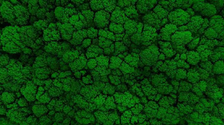 CANAL+ Brand Solutions fait ses 1ers pas vers l’écoplanning