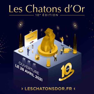 Le festival des Chatons d’Or est de retour pour célébrer ses 10 ans