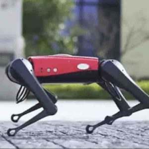 Un robochien chinois le plus rapide du monde