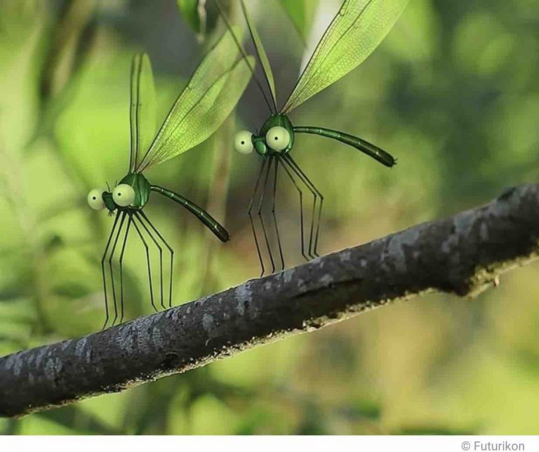 ARTE : la série documentaire «Les parcs naturels… en Minuscule» de retour pour une saison 2 les 14 et 15 juin 2021