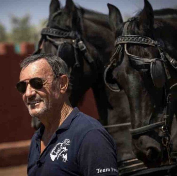 Au Maroc, Joel Proust, chorégraphe équestre, prépare ses étalons en vue de la reprise des tournages