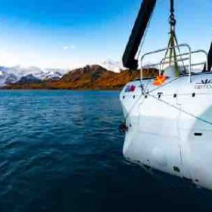 Discovery Channel célèbre «Le Mois de l’océan» dès le 4 juin