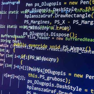 La programmation web comme espoir de mieux se réinsérer pour les détenus de Melun