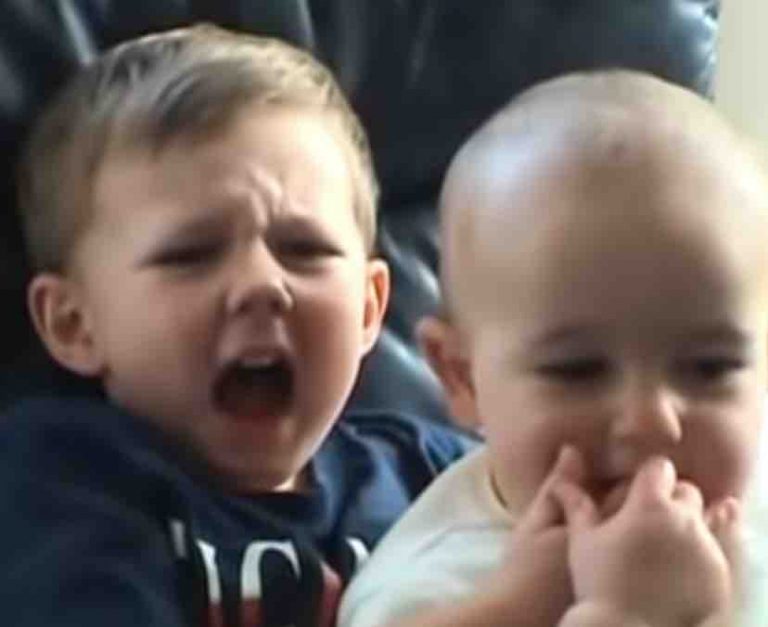 NFT : l’une des vidéos les plus virales d’internet vendue aux enchères pour 760.000 dollars