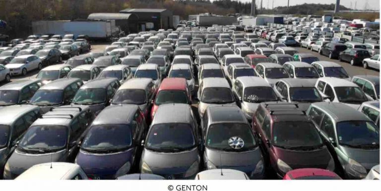 RMC Découverte : «Immersion dans une méga fourrière» le 31 mai à 21h05