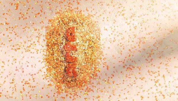 ARTE : programmation spéciale axée sur le sport et la culture japonaise à l’occasion des JO de Tokyo