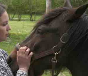France 5/ «Enquête de santé» : «Ces animaux qui nous soignent» mardi 15 juin à 20h50