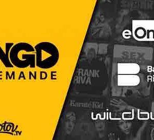 Molotov : 3 nouveaux accords internationaux pour son service AVoD Mango