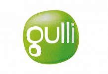 Gulli : succès auprès des moins de 50 ans avec «Brice 3»