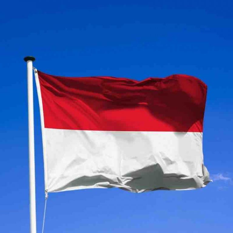 L’Indonésie va encadrer les transactions sur les réseaux sociaux, selon son président Joko Widodo