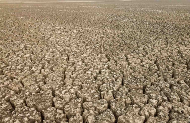 ARTE : programmation spéciale «COP26 – Climat, le défi du siècle» à partir du 19 octobre 2021 et sur arte.tv