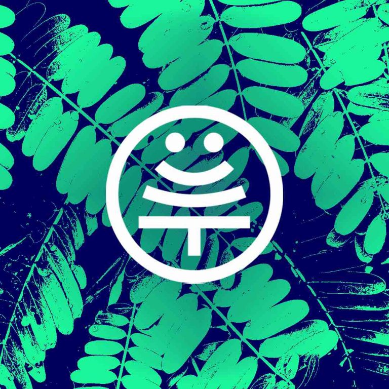 France Télévisions au rendez-vous de l’urgence climatique sur ses antennes à la veille de la COP26