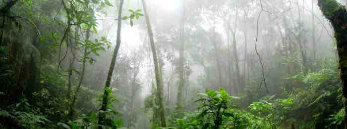 France Télévisions : les antennes ultramarines se mobilisent pour le climat à l’occasion de la COP26