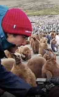 TF1 : «Mission terres australes» récompensée du Trophée Victor de l’engagement polaire